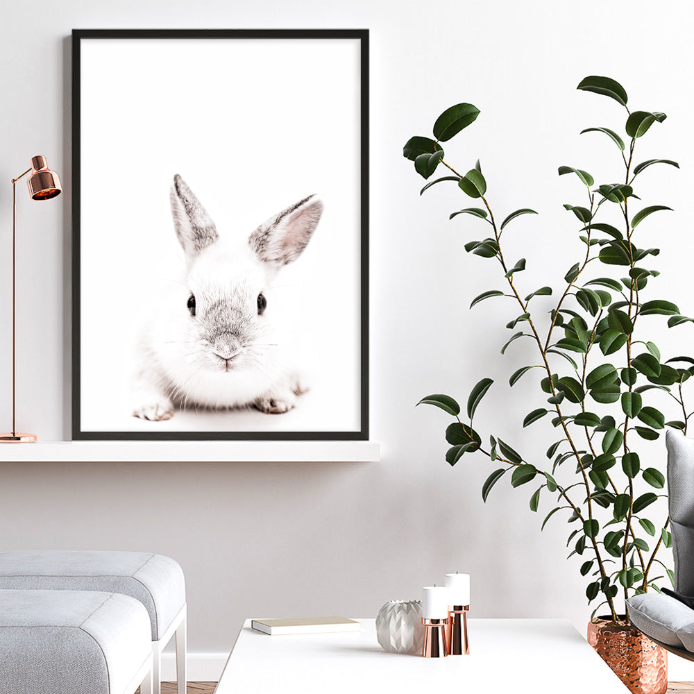 Shop White Bunny Photo Art Print a photography wall art print from The Print Emporium wall artwork collection - Buy Australian made fine art poster and framed prints for the home and your interior decor room, TPE-560-AP