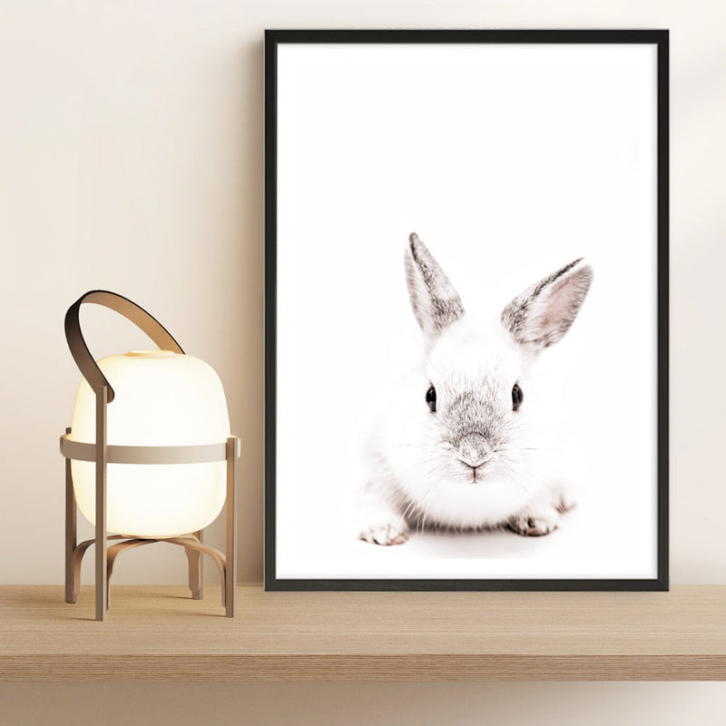 Shop White Bunny Photo Art Print a photography wall art print from The Print Emporium wall artwork collection - Buy Australian made fine art poster and framed prints for the home and your interior decor room, TPE-560-AP