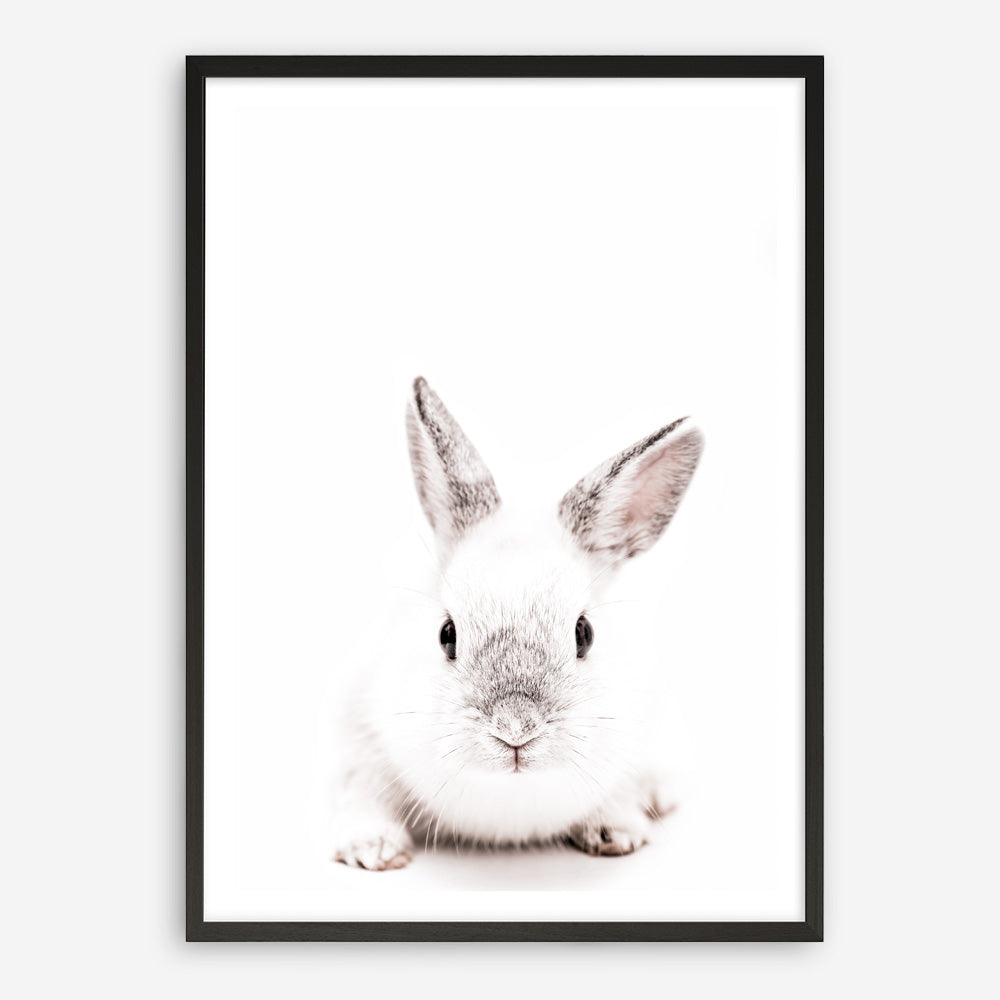 Shop White Bunny Photo Art Print a photography wall art print from The Print Emporium wall artwork collection - Buy Australian made fine art poster and framed prints for the home and your interior decor room, TPE-560-AP