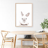 Shop White Bunny Photo Art Print a photography wall art print from The Print Emporium wall artwork collection - Buy Australian made fine art poster and framed prints for the home and your interior decor room, TPE-560-AP
