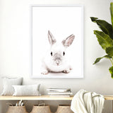Shop White Bunny Photo Art Print a photography wall art print from The Print Emporium wall artwork collection - Buy Australian made fine art poster and framed prints for the home and your interior decor room, TPE-560-AP