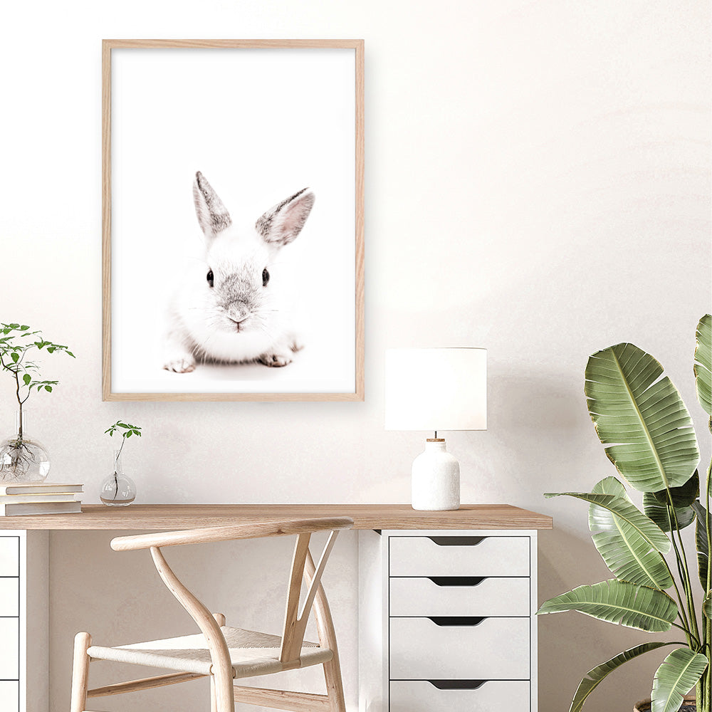 Shop White Bunny Photo Art Print a photography wall art print from The Print Emporium wall artwork collection - Buy Australian made fine art poster and framed prints for the home and your interior decor room, TPE-560-AP