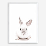 Shop White Bunny Photo Art Print a photography wall art print from The Print Emporium wall artwork collection - Buy Australian made fine art poster and framed prints for the home and your interior decor room, TPE-560-AP