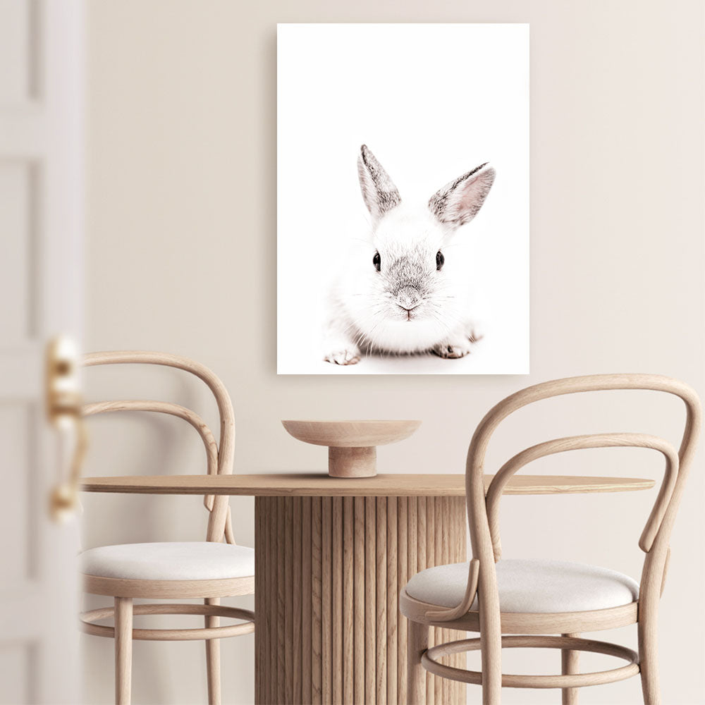 Shop White Bunny Photo Canvas Print a photography framed stretched canvas print from The Print Emporium wall artwork collection - Buy Australian made prints for the home and your interior decor space, TPE-560-CA-35X46-NF