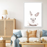 Shop White Bunny Photo Canvas Print a photography framed stretched canvas print from The Print Emporium wall artwork collection - Buy Australian made prints for the home and your interior decor space, TPE-560-CA-35X46-NF
