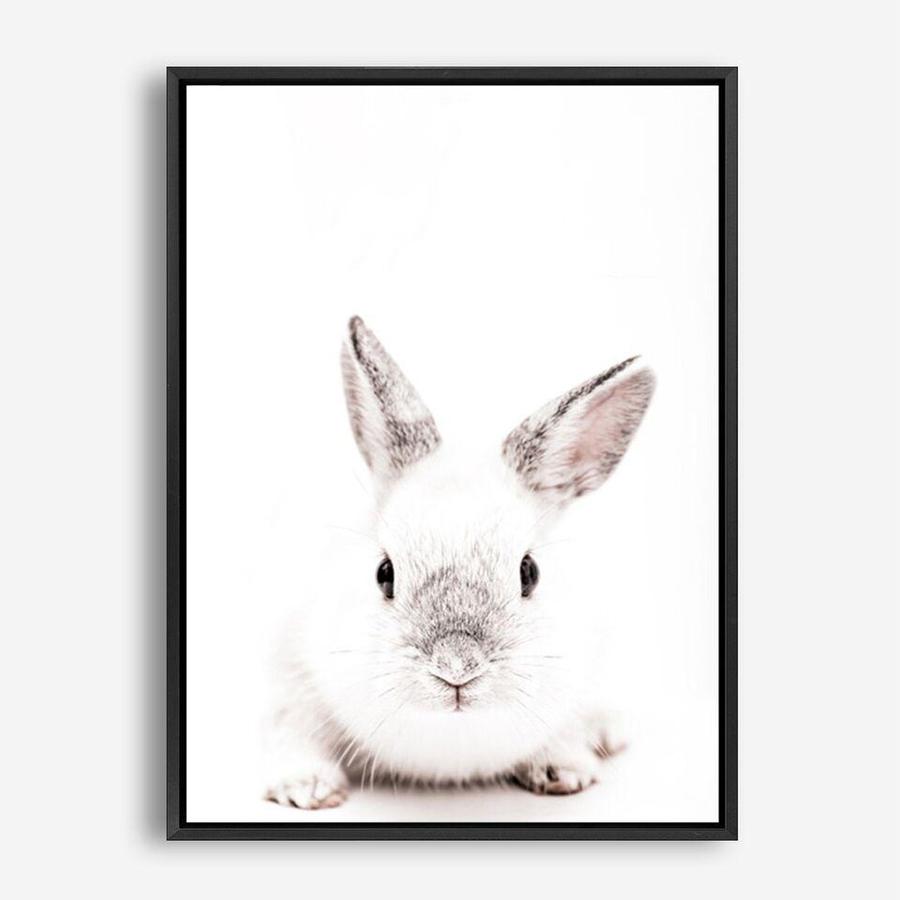 Shop White Bunny Photo Canvas Print a photography framed stretched canvas print from The Print Emporium wall artwork collection - Buy Australian made prints for the home and your interior decor space, TPE-560-CA-35X46-NF