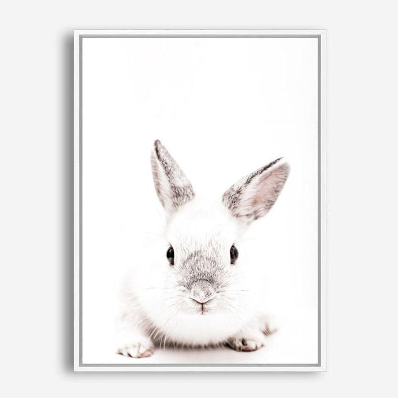Shop White Bunny Photo Canvas Print a photography framed stretched canvas print from The Print Emporium wall artwork collection - Buy Australian made prints for the home and your interior decor space, TPE-560-CA-35X46-NF