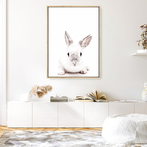 Shop White Bunny Photo Canvas Print a photography framed stretched canvas print from The Print Emporium wall artwork collection - Buy Australian made prints for the home and your interior decor space, TPE-560-CA-35X46-NF