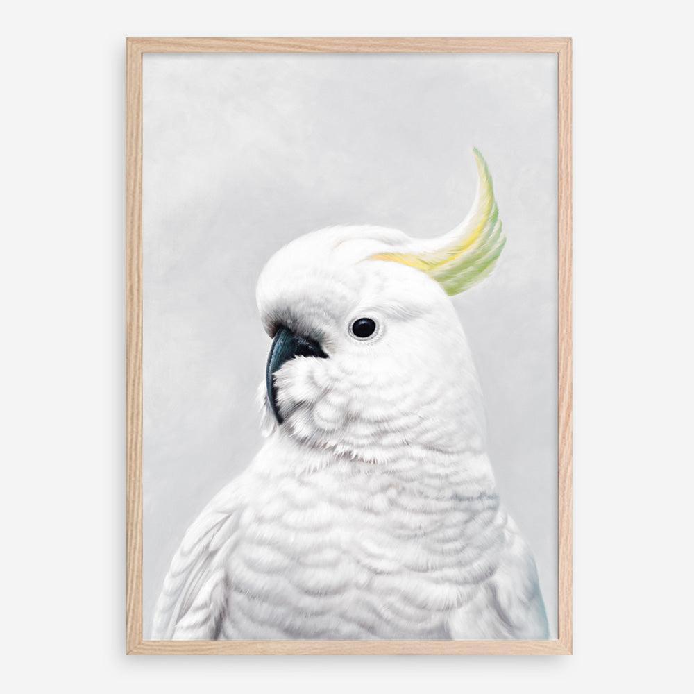 Shop White Cockatoo Art Print a painted bird themed wall art print from The Print Emporium wall artwork collection - Buy Australian made fine art painting style poster and framed prints for the home and your interior decor room, TPE-011-AP