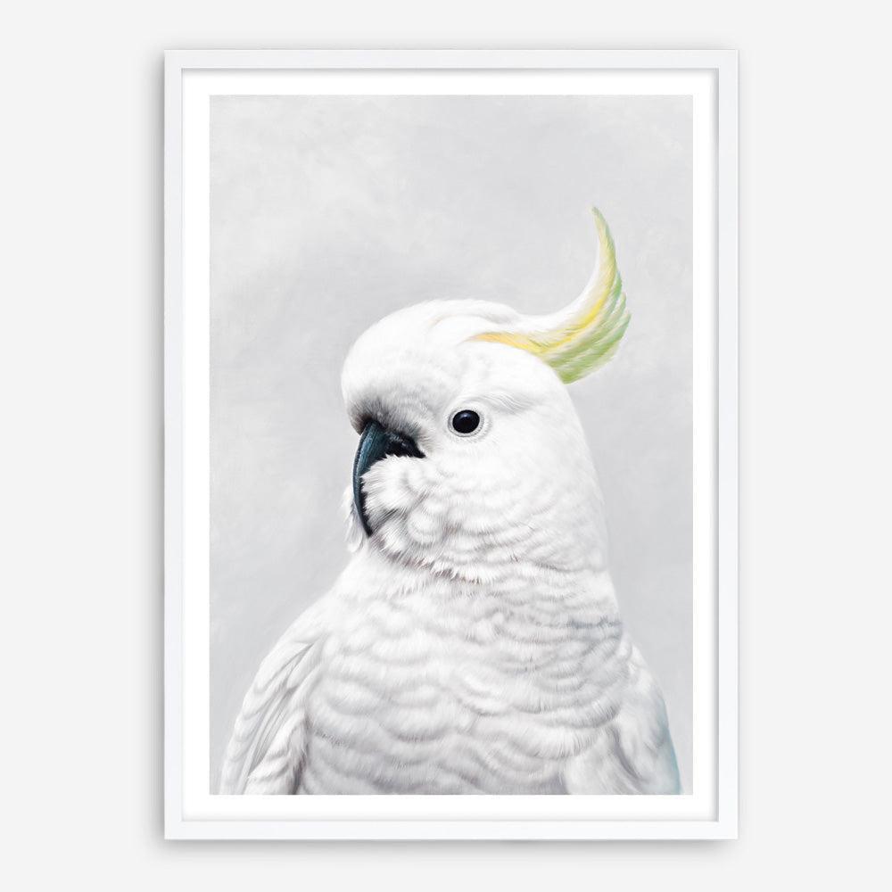 Shop White Cockatoo Art Print a painted bird themed wall art print from The Print Emporium wall artwork collection - Buy Australian made fine art painting style poster and framed prints for the home and your interior decor room, TPE-011-AP