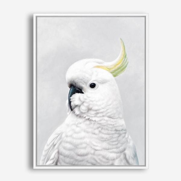 Shop White Cockatoo Canvas Print a painted bird themed framed canvas wall art print from The Print Emporium artwork collection - Buy Australian made fine art painting style stretched canvas prints for the home and your interior decor space, TPE-011-CA-35X46-NF