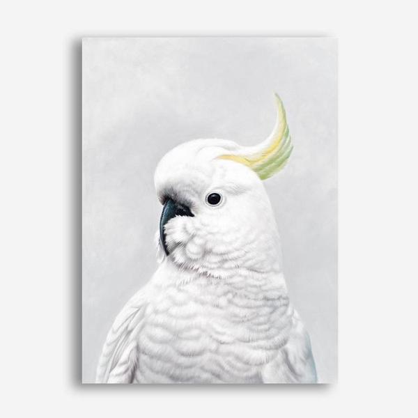 Shop White Cockatoo Canvas Print a painted bird themed framed canvas wall art print from The Print Emporium artwork collection - Buy Australian made fine art painting style stretched canvas prints for the home and your interior decor space, TPE-011-CA-35X46-NF
