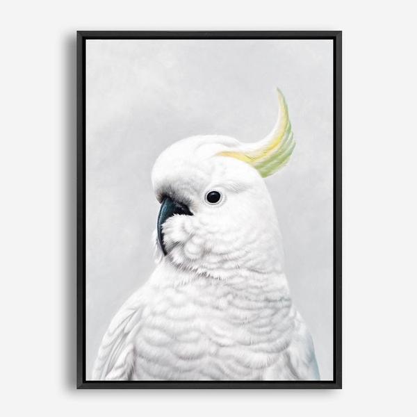 Shop White Cockatoo Canvas Print a painted bird themed framed canvas wall art print from The Print Emporium artwork collection - Buy Australian made fine art painting style stretched canvas prints for the home and your interior decor space, TPE-011-CA-35X46-NF