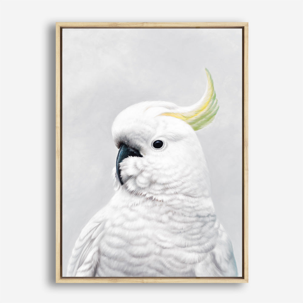 Shop White Cockatoo Canvas Print a painted bird themed framed canvas wall art print from The Print Emporium artwork collection - Buy Australian made fine art painting style stretched canvas prints for the home and your interior decor space, TPE-011-CA-35X46-NF