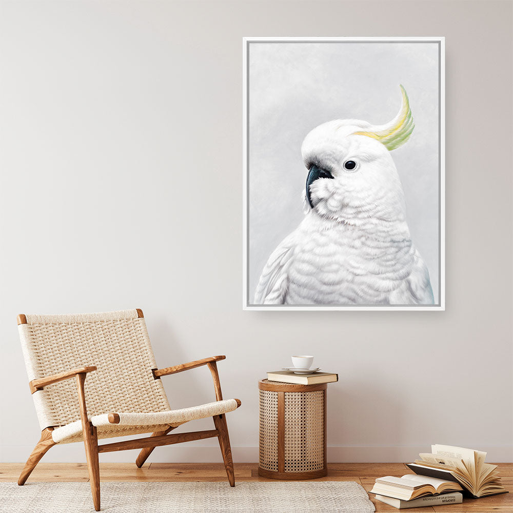 Shop White Cockatoo Canvas Print a painted bird themed framed canvas wall art print from The Print Emporium artwork collection - Buy Australian made fine art painting style stretched canvas prints for the home and your interior decor space, TPE-011-CA-35X46-NF