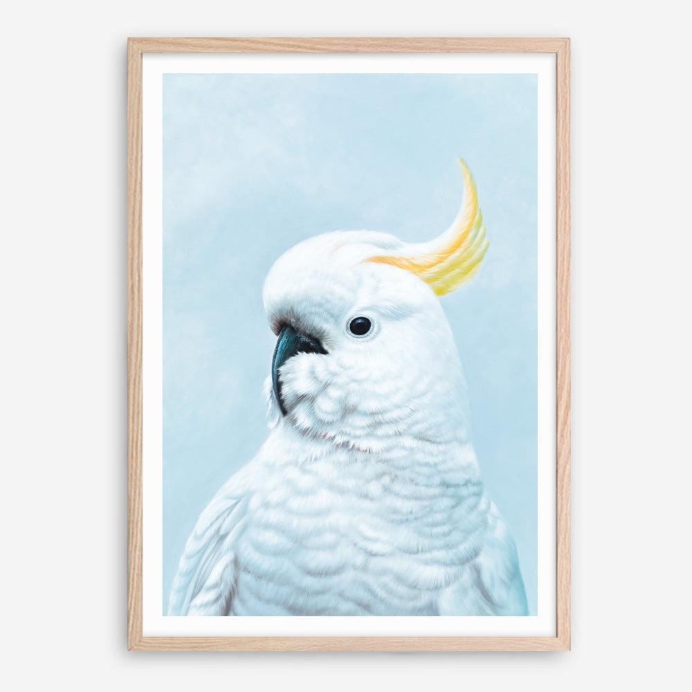 Shop White Cockatoo In Blue Art Print a painted bird themed wall art print from The Print Emporium wall artwork collection - Buy Australian made fine art painting style poster and framed prints for the home and your interior decor room, TPE-010-AP