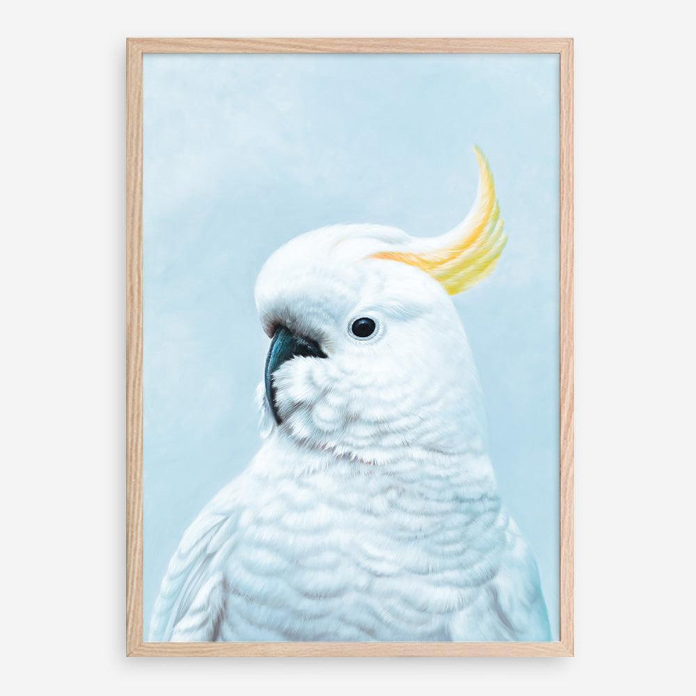 Shop White Cockatoo In Blue Art Print a painted bird themed wall art print from The Print Emporium wall artwork collection - Buy Australian made fine art painting style poster and framed prints for the home and your interior decor room, TPE-010-AP