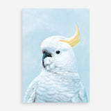 Shop White Cockatoo In Blue Art Print a painted bird themed wall art print from The Print Emporium wall artwork collection - Buy Australian made fine art painting style poster and framed prints for the home and your interior decor room, TPE-010-AP