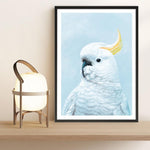 Shop White Cockatoo In Blue Art Print a painted bird themed wall art print from The Print Emporium wall artwork collection - Buy Australian made fine art painting style poster and framed prints for the home and your interior decor room, TPE-010-AP