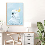 Shop White Cockatoo In Blue Art Print a painted bird themed wall art print from The Print Emporium wall artwork collection - Buy Australian made fine art painting style poster and framed prints for the home and your interior decor room, TPE-010-AP