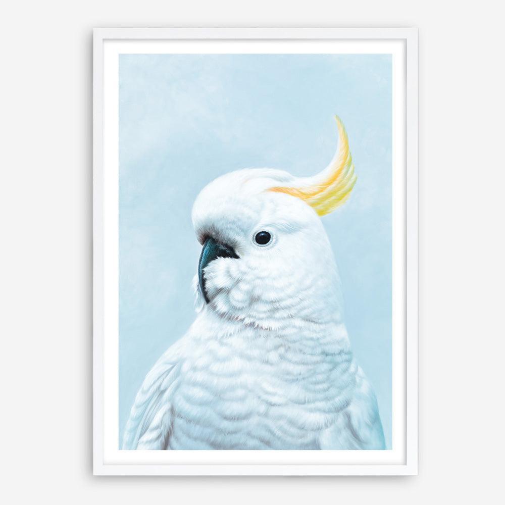 Shop White Cockatoo In Blue Art Print a painted bird themed wall art print from The Print Emporium wall artwork collection - Buy Australian made fine art painting style poster and framed prints for the home and your interior decor room, TPE-010-AP