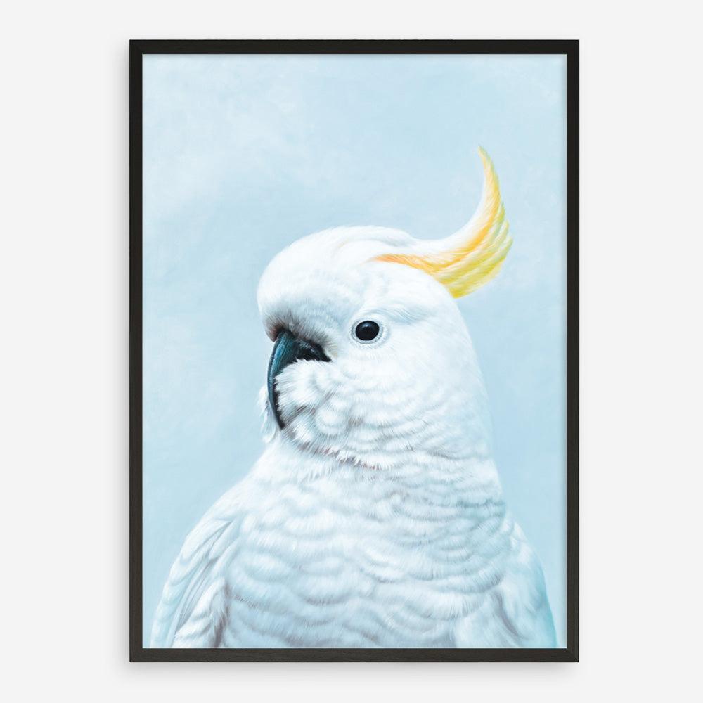 Shop White Cockatoo In Blue Art Print a painted bird themed wall art print from The Print Emporium wall artwork collection - Buy Australian made fine art painting style poster and framed prints for the home and your interior decor room, TPE-010-AP