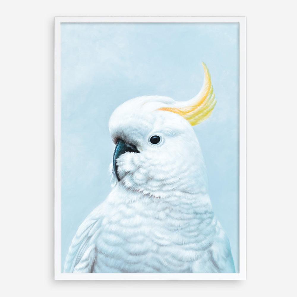 Shop White Cockatoo In Blue Art Print a painted bird themed wall art print from The Print Emporium wall artwork collection - Buy Australian made fine art painting style poster and framed prints for the home and your interior decor room, TPE-010-AP