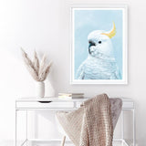 Shop White Cockatoo In Blue Art Print a painted bird themed wall art print from The Print Emporium wall artwork collection - Buy Australian made fine art painting style poster and framed prints for the home and your interior decor room, TPE-010-AP