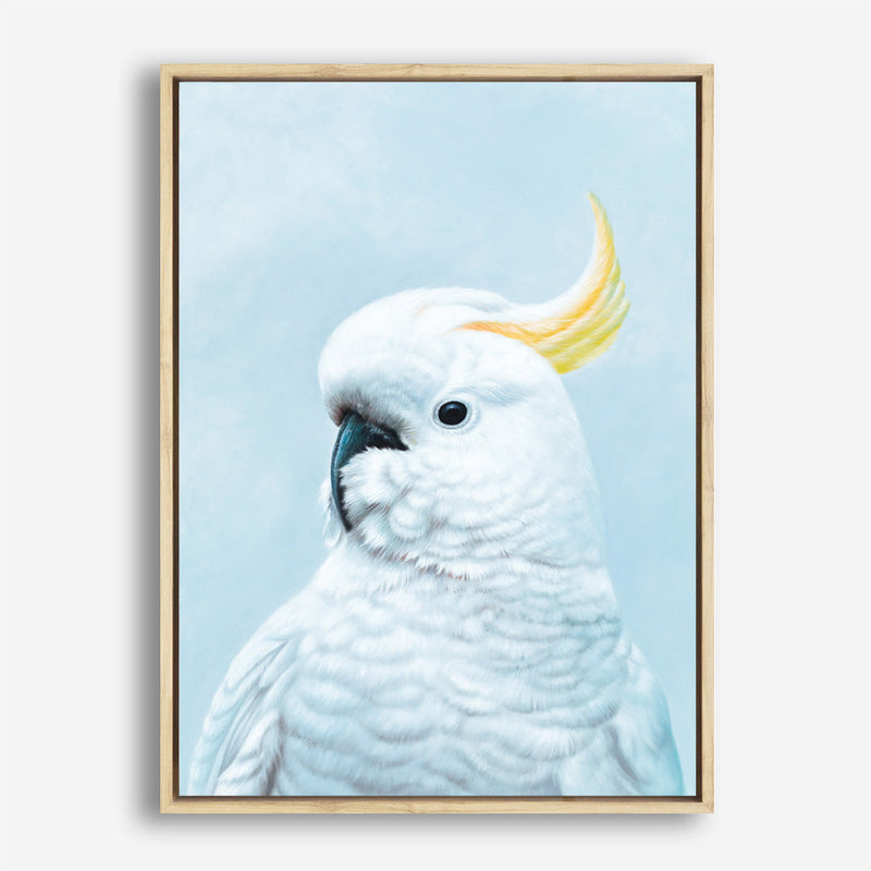 Shop White Cockatoo In Blue Canvas Print a painted bird themed framed canvas wall art print from The Print Emporium artwork collection - Buy Australian made fine art painting style stretched canvas prints for the home and your interior decor space, TPE-010-CA-35X46-NF