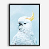 Shop White Cockatoo In Blue Canvas Print a painted bird themed framed canvas wall art print from The Print Emporium artwork collection - Buy Australian made fine art painting style stretched canvas prints for the home and your interior decor space, TPE-010-CA-35X46-NF