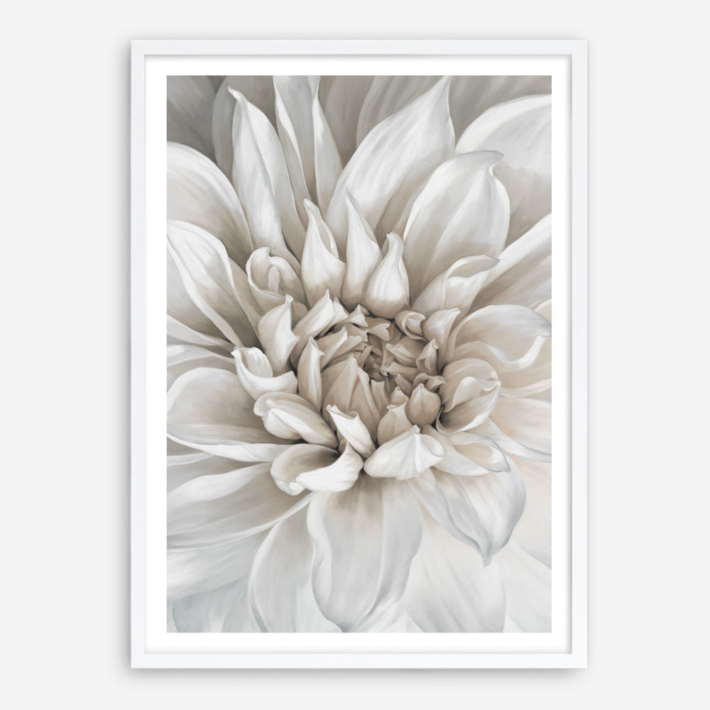 Shop White Dahlia Art Print a floral themed painted wall art print from The Print Emporium wall artwork collection - Buy Australian made fine art painting style poster and framed prints for the home and your interior decor room, TPE-489-AP