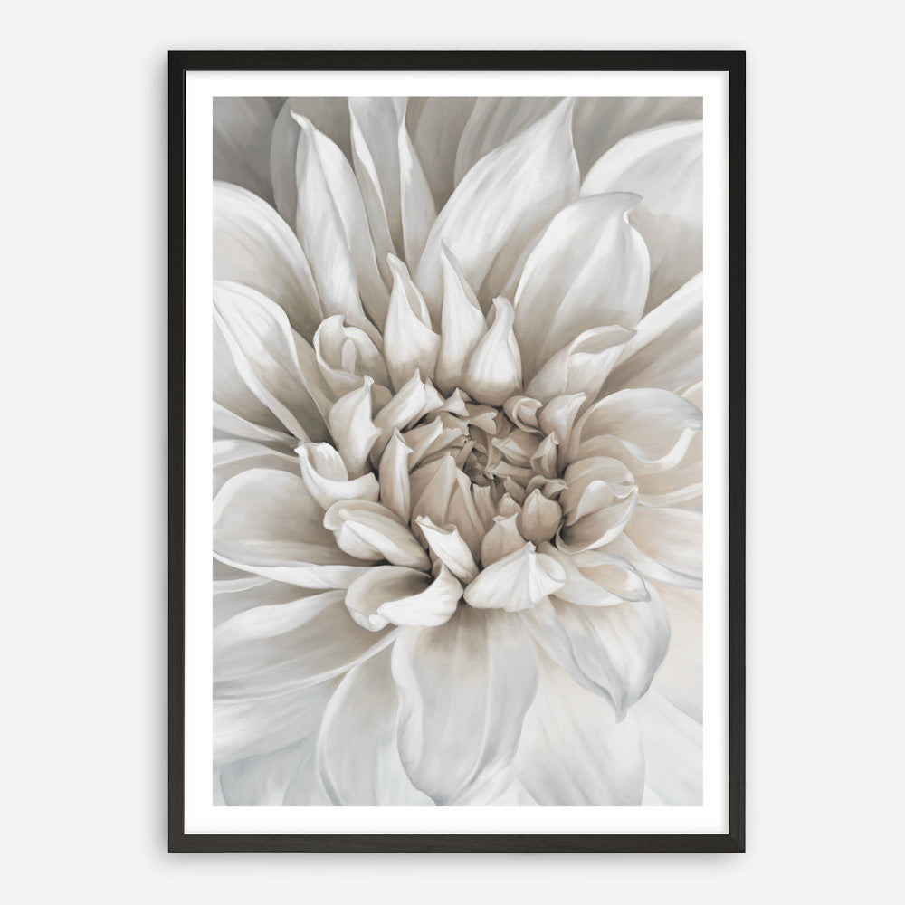 Shop White Dahlia Art Print a floral themed painted wall art print from The Print Emporium wall artwork collection - Buy Australian made fine art painting style poster and framed prints for the home and your interior decor room, TPE-489-AP