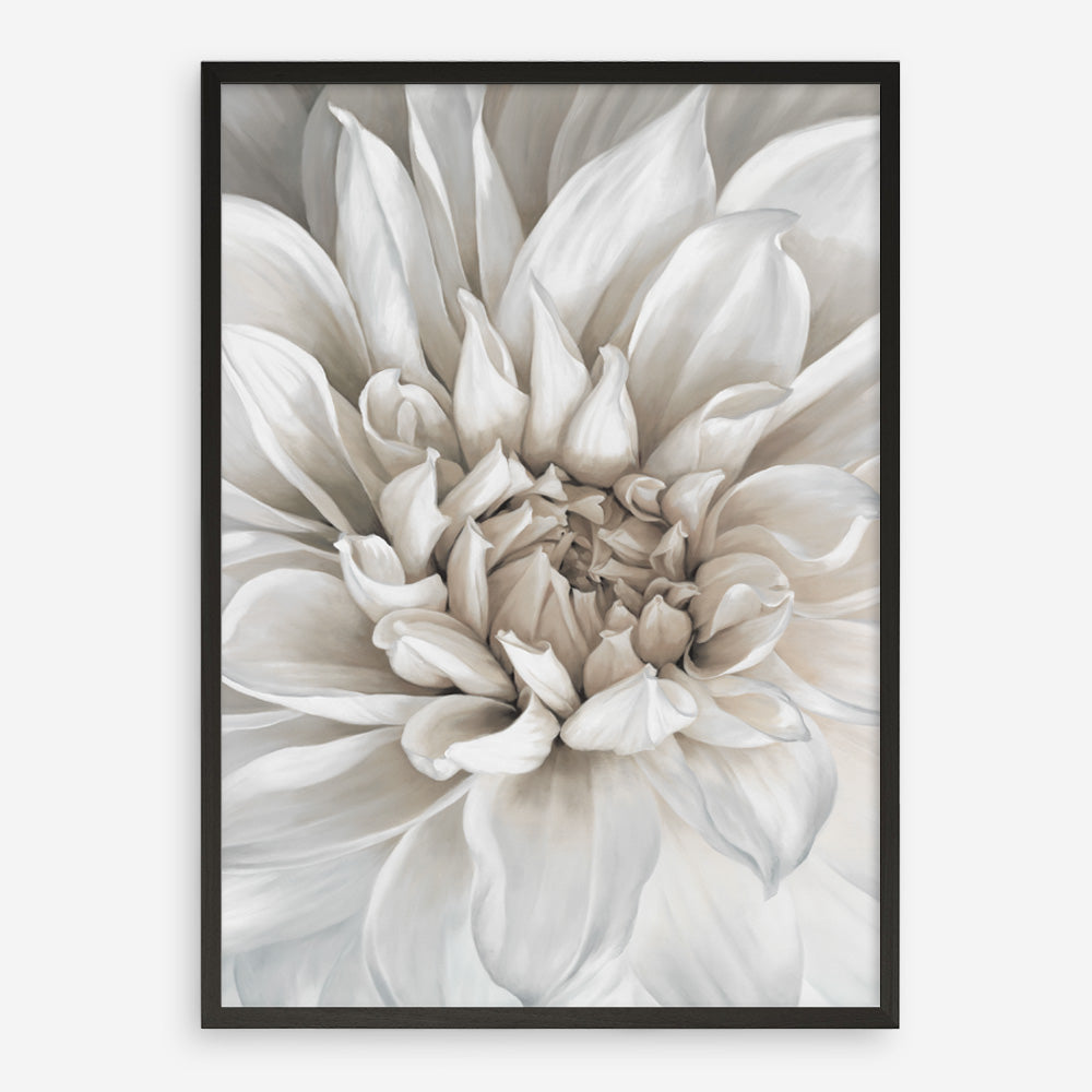 Shop White Dahlia Art Print a floral themed painted wall art print from The Print Emporium wall artwork collection - Buy Australian made fine art painting style poster and framed prints for the home and your interior decor room, TPE-489-AP