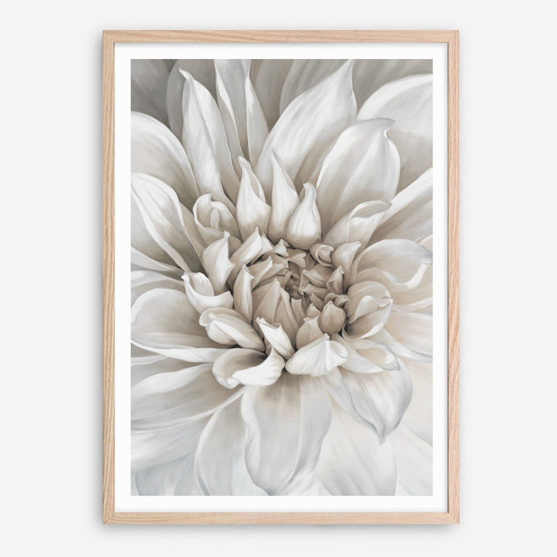 Shop White Dahlia Art Print a floral themed painted wall art print from The Print Emporium wall artwork collection - Buy Australian made fine art painting style poster and framed prints for the home and your interior decor room, TPE-489-AP