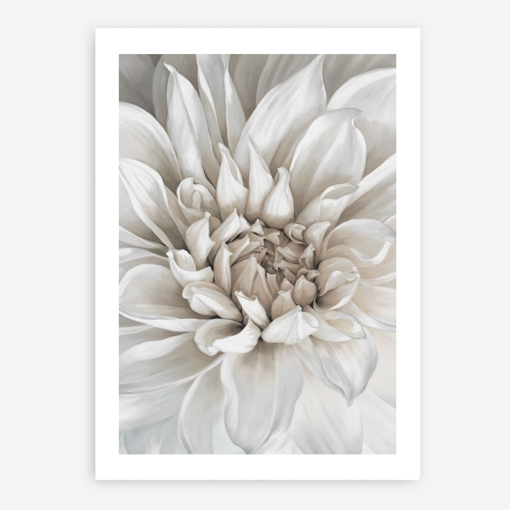 Shop White Dahlia Art Print a floral themed painted wall art print from The Print Emporium wall artwork collection - Buy Australian made fine art painting style poster and framed prints for the home and your interior decor room, TPE-489-AP