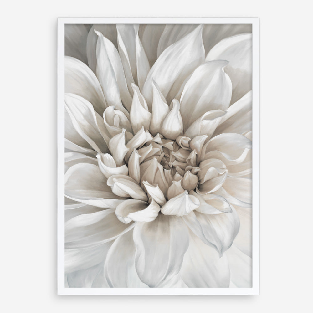Shop White Dahlia Art Print a floral themed painted wall art print from The Print Emporium wall artwork collection - Buy Australian made fine art painting style poster and framed prints for the home and your interior decor room, TPE-489-AP