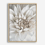 Shop White Dahlia Canvas Print a floral themed painted framed canvas wall art print from The Print Emporium artwork collection - Buy Australian made fine art painting style stretched canvas prints for the home and your interior decor space, TPE-489-CA-35X46-NF