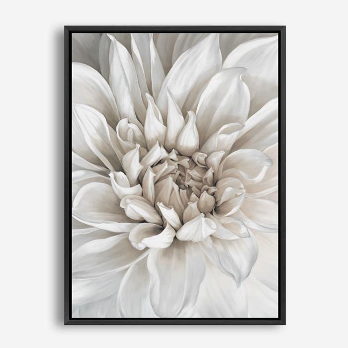 Shop White Dahlia Canvas Print a floral themed painted framed canvas wall art print from The Print Emporium artwork collection - Buy Australian made fine art painting style stretched canvas prints for the home and your interior decor space, TPE-489-CA-35X46-NF