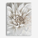 Shop White Dahlia Canvas Print a floral themed painted framed canvas wall art print from The Print Emporium artwork collection - Buy Australian made fine art painting style stretched canvas prints for the home and your interior decor space, TPE-489-CA-35X46-NF