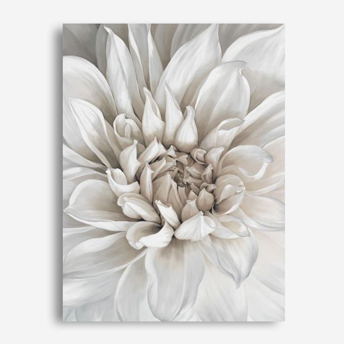Shop White Dahlia Canvas Print a floral themed painted framed canvas wall art print from The Print Emporium artwork collection - Buy Australian made fine art painting style stretched canvas prints for the home and your interior decor space, TPE-489-CA-35X46-NF