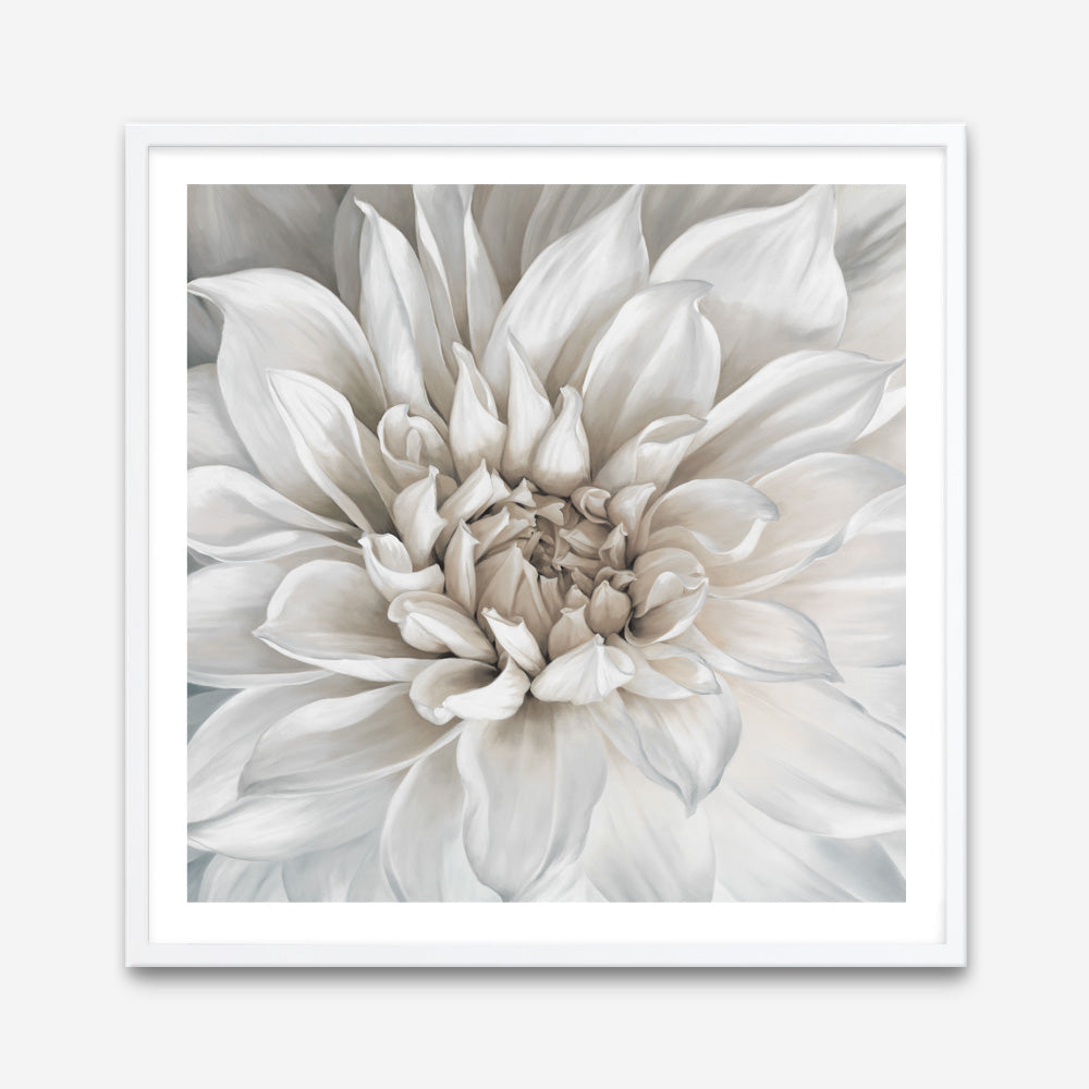 Shop White Dahlia (Square) Art Print a floral themed painted wall art print from The Print Emporium wall artwork collection - Buy Australian made fine art painting style poster and framed prints for the home and your interior decor room, TPE-187-AP