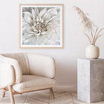 Shop White Dahlia (Square) Art Print a floral themed painted wall art print from The Print Emporium wall artwork collection - Buy Australian made fine art painting style poster and framed prints for the home and your interior decor room, TPE-187-AP