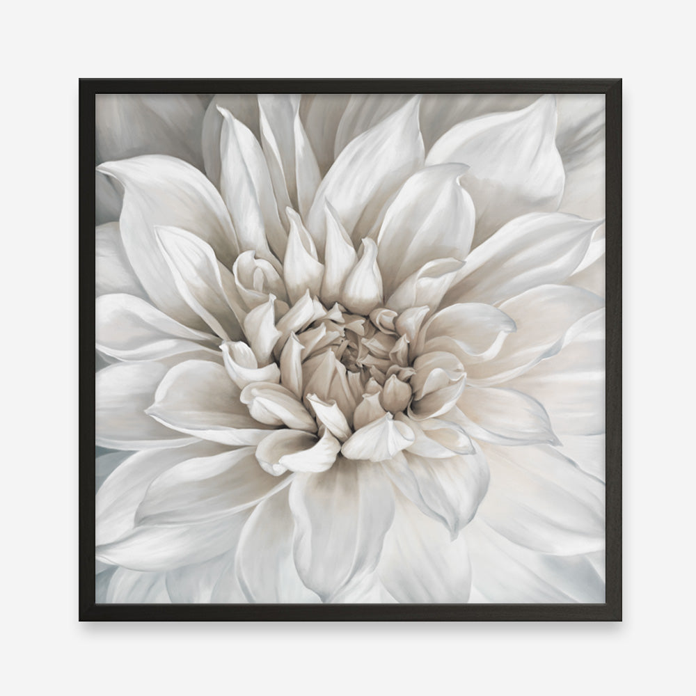 Shop White Dahlia (Square) Art Print a floral themed painted wall art print from The Print Emporium wall artwork collection - Buy Australian made fine art painting style poster and framed prints for the home and your interior decor room, TPE-187-AP