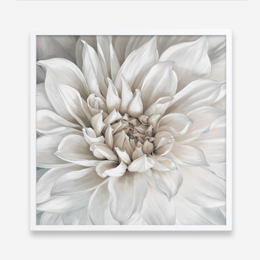 Shop White Dahlia (Square) Art Print a floral themed painted wall art print from The Print Emporium wall artwork collection - Buy Australian made fine art painting style poster and framed prints for the home and your interior decor room, TPE-187-AP