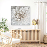 Shop White Dahlia (Square) Canvas Print a floral themed painted framed canvas wall art print from The Print Emporium artwork collection - Buy Australian made fine art painting style stretched canvas prints for the home and your interior decor space, TPE-187-CA-40X40-NF