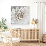 Shop White Dahlia (Square) Canvas Print a floral themed painted framed canvas wall art print from The Print Emporium artwork collection - Buy Australian made fine art painting style stretched canvas prints for the home and your interior decor space, TPE-187-CA-40X40-NF