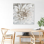 Shop White Dahlia (Square) Canvas Print a floral themed painted framed canvas wall art print from The Print Emporium artwork collection - Buy Australian made fine art painting style stretched canvas prints for the home and your interior decor space, TPE-187-CA-40X40-NF