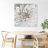 Shop White Dahlia (Square) Canvas Print a floral themed painted framed canvas wall art print from The Print Emporium artwork collection - Buy Australian made fine art painting style stretched canvas prints for the home and your interior decor space, TPE-187-CA-40X40-NF