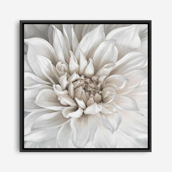 Shop White Dahlia (Square) Canvas Print a floral themed painted framed canvas wall art print from The Print Emporium artwork collection - Buy Australian made fine art painting style stretched canvas prints for the home and your interior decor space, TPE-187-CA-40X40-NF