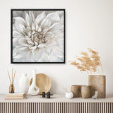 Shop White Dahlia (Square) Canvas Print a floral themed painted framed canvas wall art print from The Print Emporium artwork collection - Buy Australian made fine art painting style stretched canvas prints for the home and your interior decor space, TPE-187-CA-40X40-NF